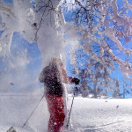 Brian getting fresh with the Kiroro trees
