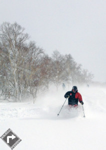 Coach Biff in Kiroro powder